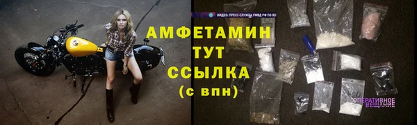 стаф Богородск