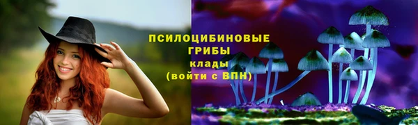 тгк Бородино