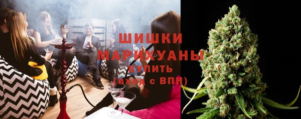 тгк Бородино