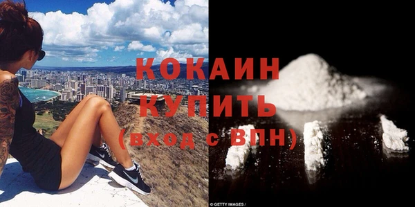 тгк Бородино