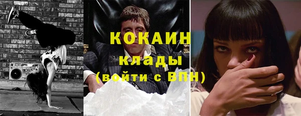 тгк Бородино